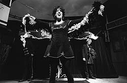 Genre de Cirque (&copy; Vincent Muteau)