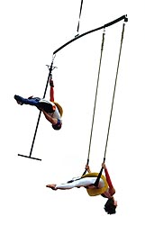 Mobile (version jour)