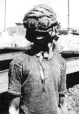 &copy; Vincent Muteau