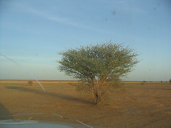 JPEG - 21.2 ko