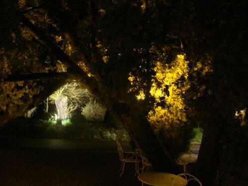 Lumières à La Grenouillière.
