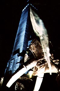 Transhumance brestoise (&copy; Fred Ts&eacute;dri)