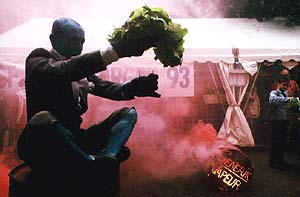 G&eacute;n&eacute;rik Vapeur (&copy; F. Raynaud)