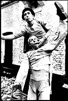 Wurre wurre (&copy; Yves Logghe)