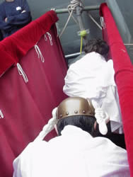 D'autre photos  Carpe