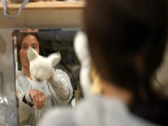 &copy; Regis Nardoux