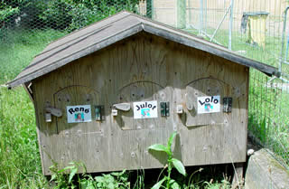 le dortoir des Cousins